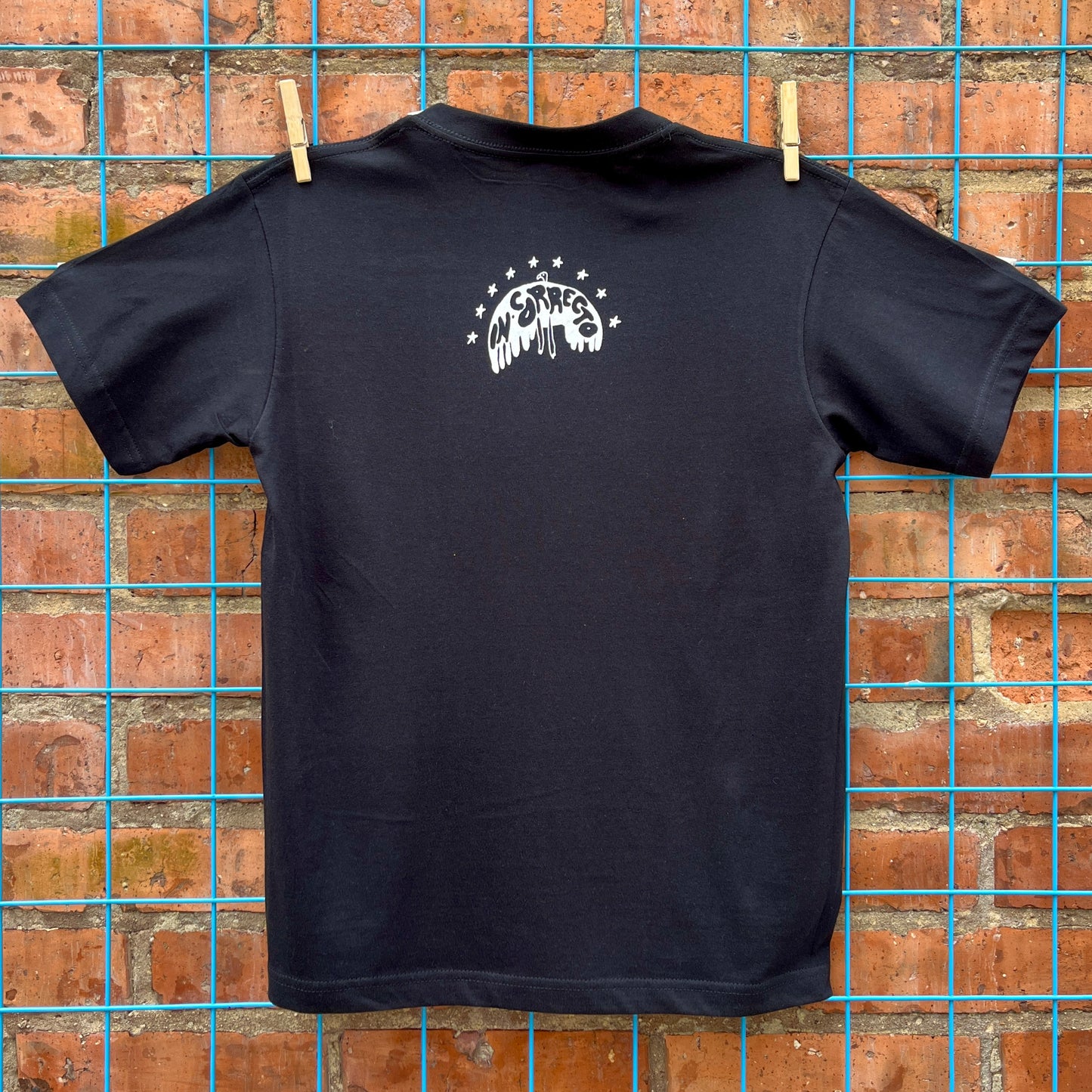 Camiseta In-Correcto Aniversario 009