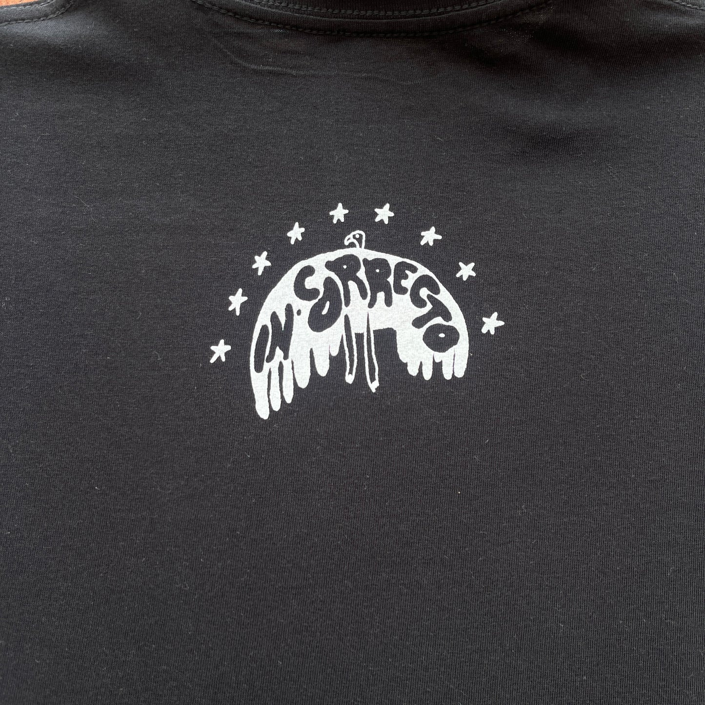Camiseta In-Correcto Aniversario 009