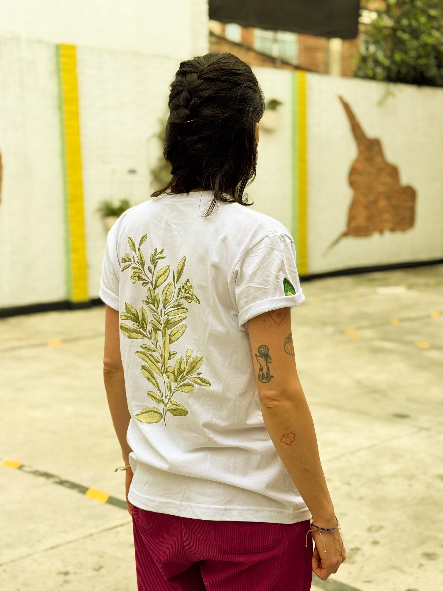 Camiseta Ilustrada "Planta de Coca"