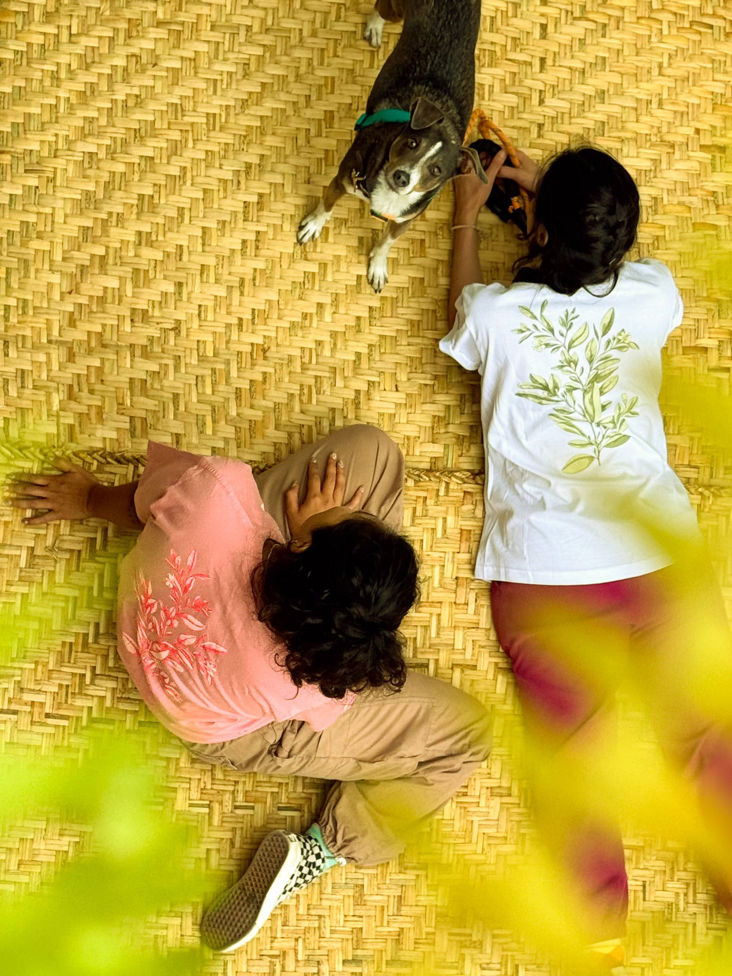 Camiseta Ilustrada "Planta de Coca"